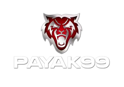 payak99 payak99